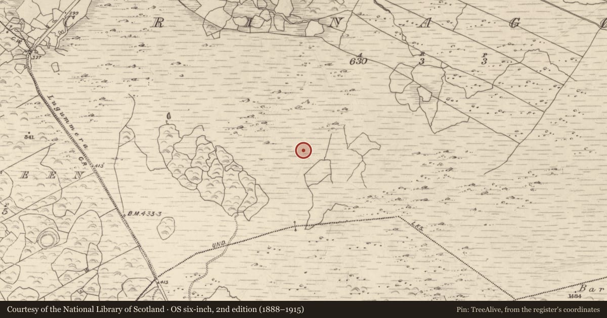 Ordnance Survey six-inch map, 2nd edition (1888–1915) covering the location of Cairn - unclassified, Crinagort, County Kerry, with a pin at the register's coordinates