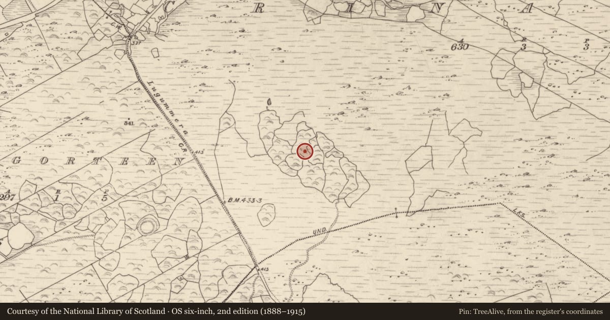 Ordnance Survey six-inch map, 2nd edition (1888–1915) covering the location of Enclosure, Crinagort, County Kerry, with a pin at the register's coordinates