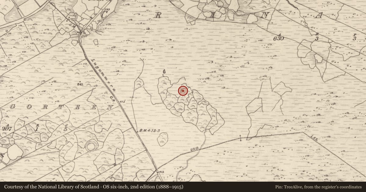 Ordnance Survey six-inch map, 2nd edition (1888–1915) covering the location of Hut site, Crinagort, County Kerry, with a pin at the register's coordinates