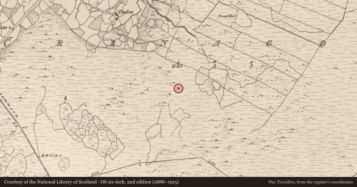 Ordnance Survey six-inch map, 2nd edition (1888–1915) covering the location of Hut site, Crinagort, County Kerry, with a pin at the register's coordinates
