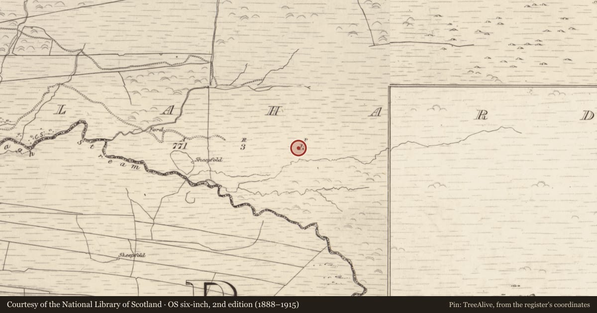 Ordnance Survey six-inch map, 2nd edition (1888–1915) covering the location of Field boundary, Gortlahard, County Kerry, with a pin at the register's coordinates