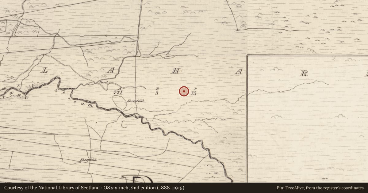 Ordnance Survey six-inch map, 2nd edition (1888–1915) covering the location of Field boundary, Gortlahard, County Kerry, with a pin at the register's coordinates