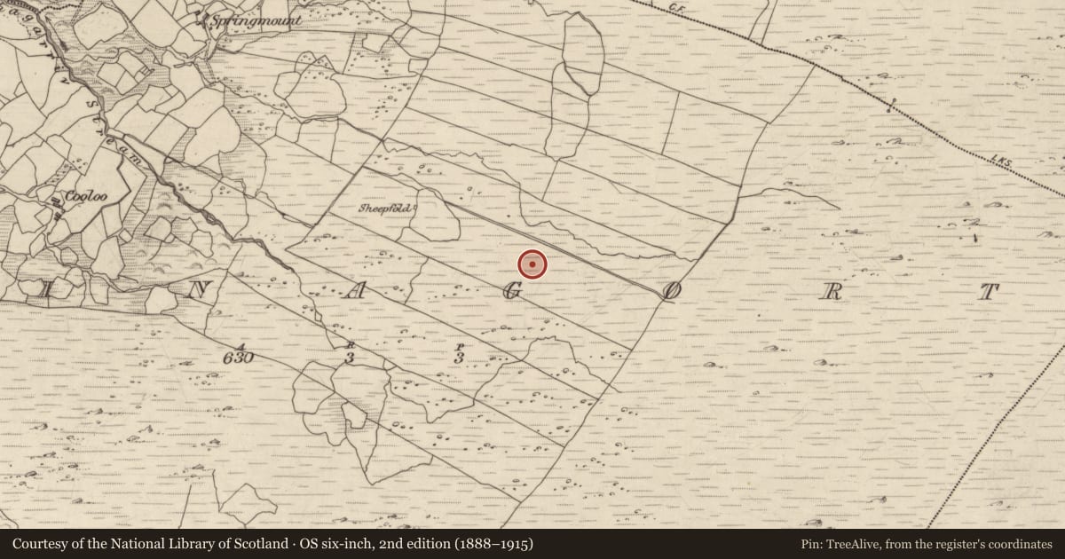 Ordnance Survey six-inch map, 2nd edition (1888–1915) covering the location of Field boundary, Crinagort, County Kerry, with a pin at the register's coordinates