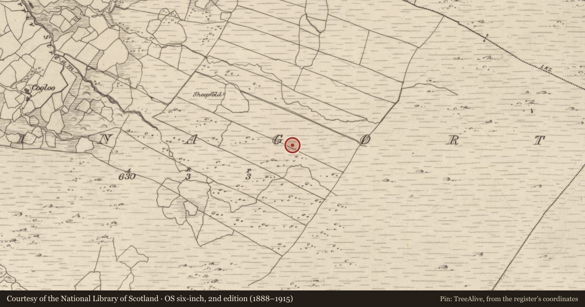 Ordnance Survey six-inch map, 2nd edition (1888–1915) covering the location of Enclosure, Crinagort, County Kerry, with a pin at the register's coordinates