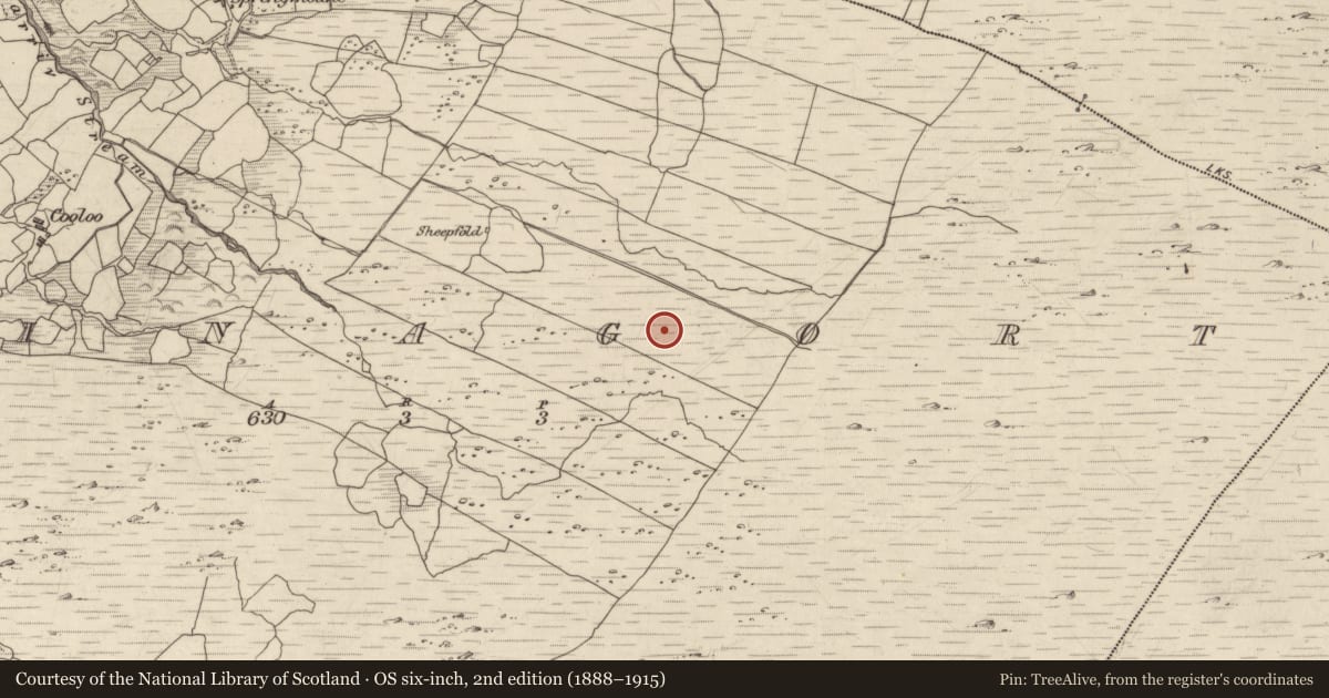 Ordnance Survey six-inch map, 2nd edition (1888–1915) covering the location of Field boundary, Crinagort, County Kerry, with a pin at the register's coordinates