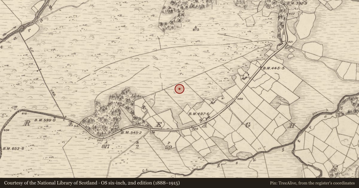 Ordnance Survey six-inch map, 2nd edition (1888–1915) covering the location of Standing stone, Releagh, County Kerry, with a pin at the register's coordinates