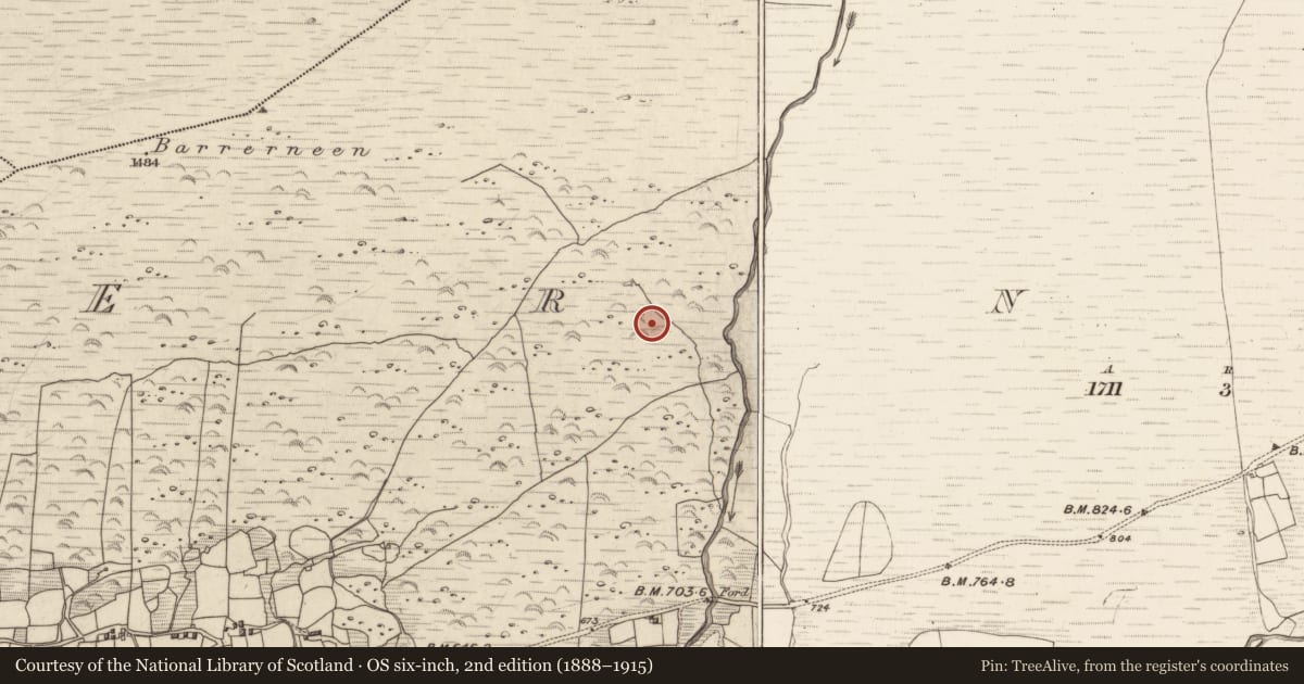 Ordnance Survey six-inch map, 2nd edition (1888–1915) covering the location of Hut site, Erneen, County Kerry, with a pin at the register's coordinates