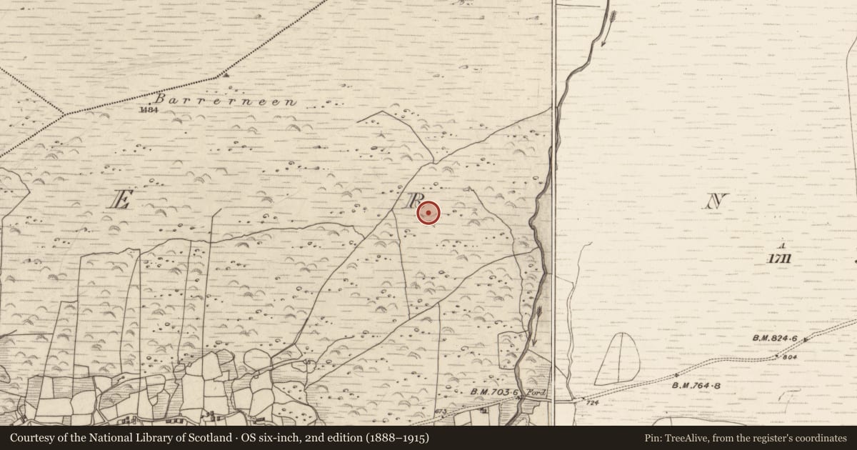 Ordnance Survey six-inch map, 2nd edition (1888–1915) covering the location of Field system, Erneen, County Kerry, with a pin at the register's coordinates