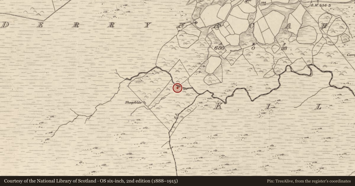 Ordnance Survey six-inch map, 2nd edition (1888–1915) covering the location of Fulacht fia, Derrynacaheragh, County Kerry, with a pin at the register's coordinates