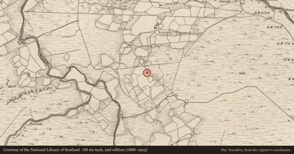 Ordnance Survey six-inch map, 2nd edition (1888–1915) covering the location of Standing stone, Coorleagh, County Kerry, with a pin at the register's coordinates