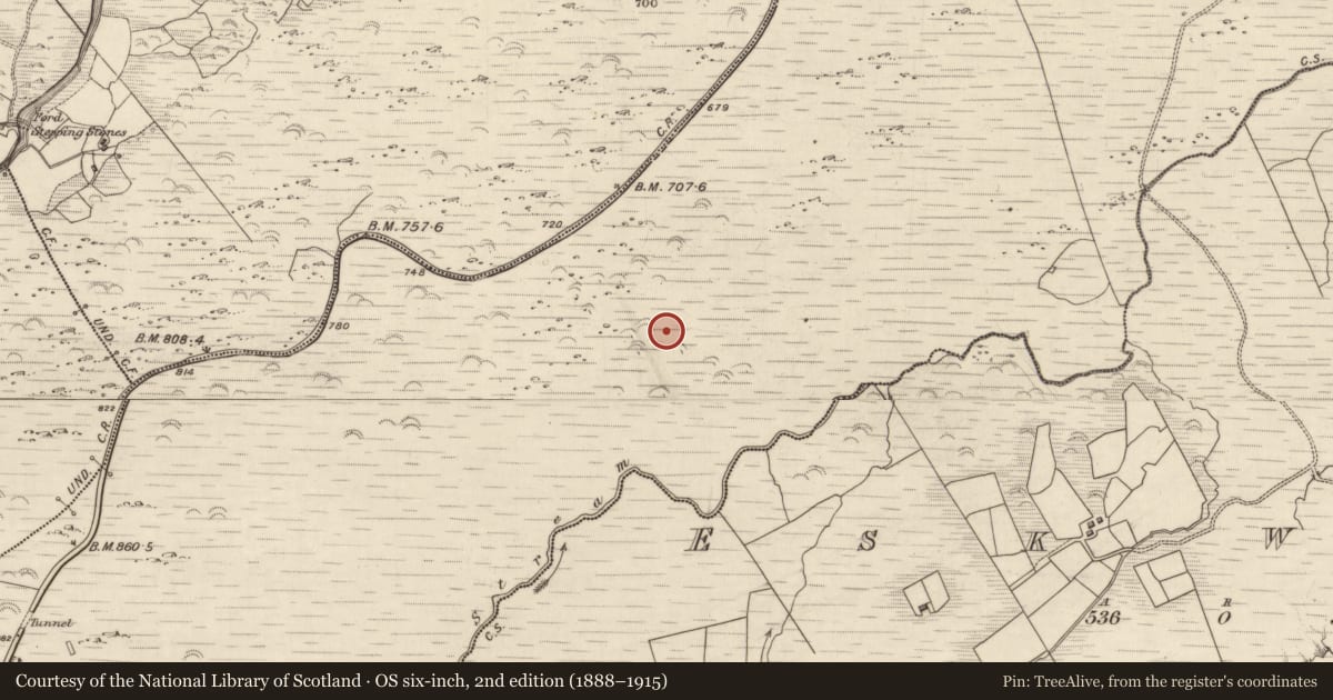 Ordnance Survey six-inch map, 2nd edition (1888–1915) covering the location of Hut site, Releagh, County Kerry, with a pin at the register's coordinates