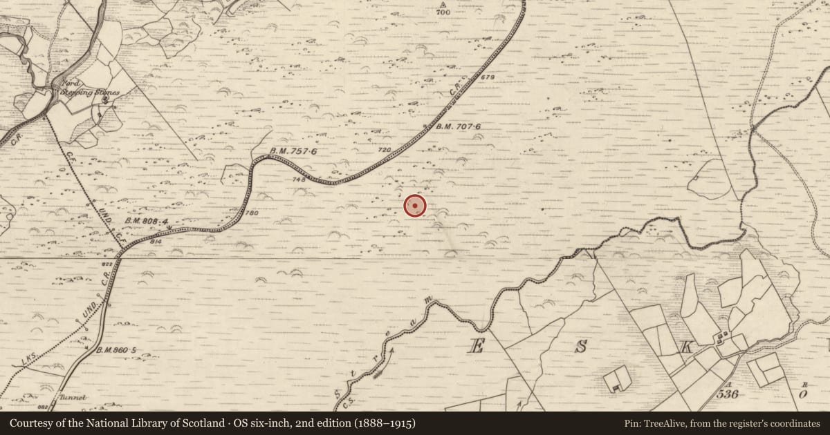 Ordnance Survey six-inch map, 2nd edition (1888–1915) covering the location of Hut site, Releagh, County Kerry, with a pin at the register's coordinates