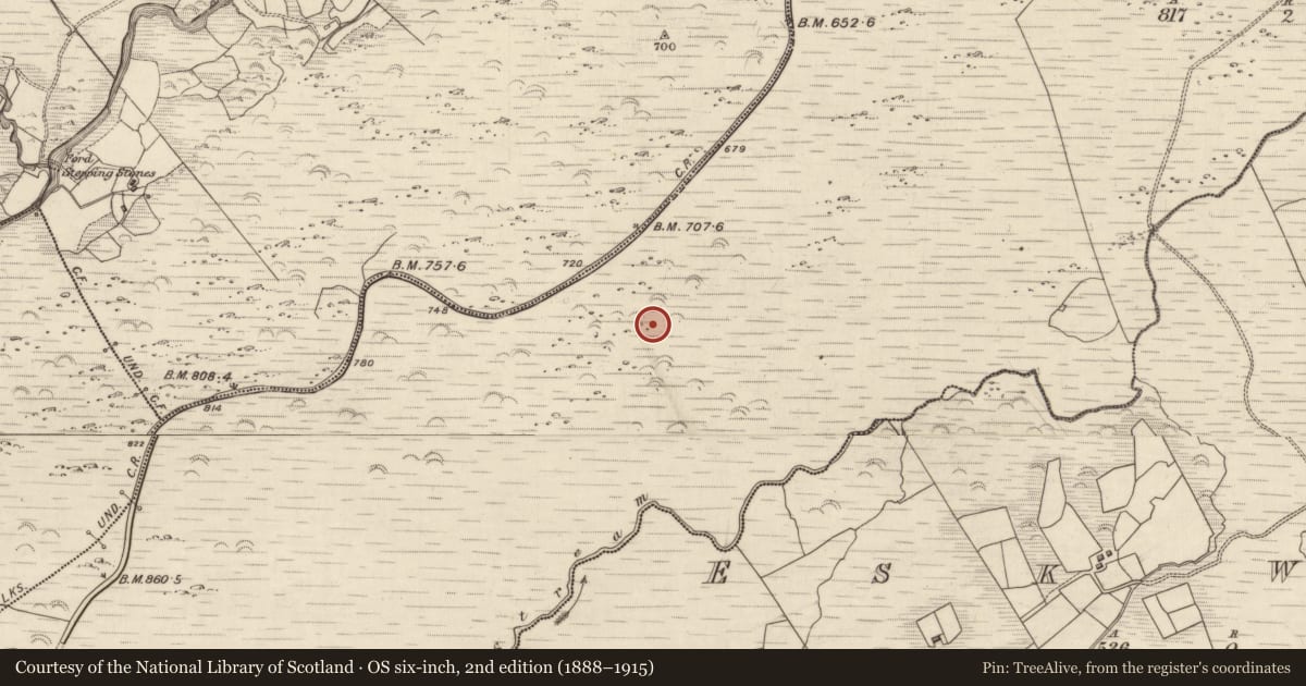 Ordnance Survey six-inch map, 2nd edition (1888–1915) covering the location of Hut site, Releagh, County Kerry, with a pin at the register's coordinates