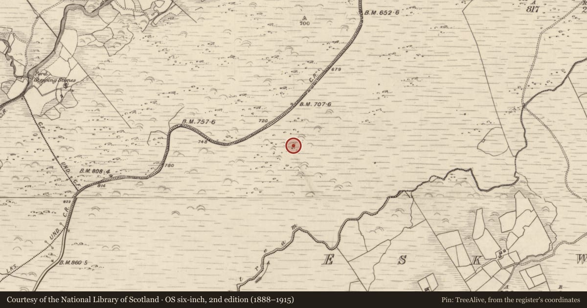 Ordnance Survey six-inch map, 2nd edition (1888–1915) covering the location of Enclosure, Releagh, County Kerry, with a pin at the register's coordinates