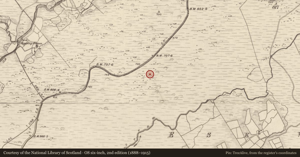 Ordnance Survey six-inch map, 2nd edition (1888–1915) covering the location of Hut site, Releagh, County Kerry, with a pin at the register's coordinates
