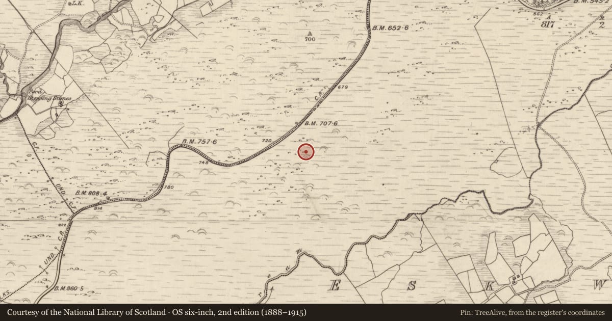 Ordnance Survey six-inch map, 2nd edition (1888–1915) covering the location of Hut site, Releagh, County Kerry, with a pin at the register's coordinates