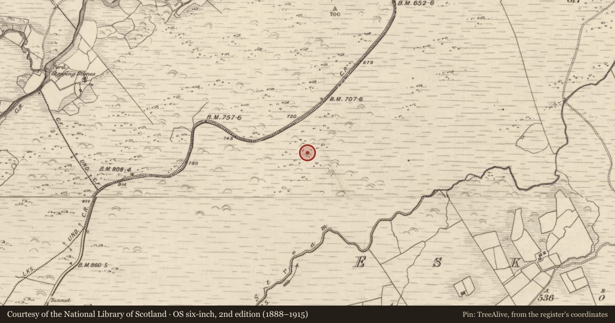 Ordnance Survey six-inch map, 2nd edition (1888–1915) covering the location of Hut site, Releagh, County Kerry, with a pin at the register's coordinates