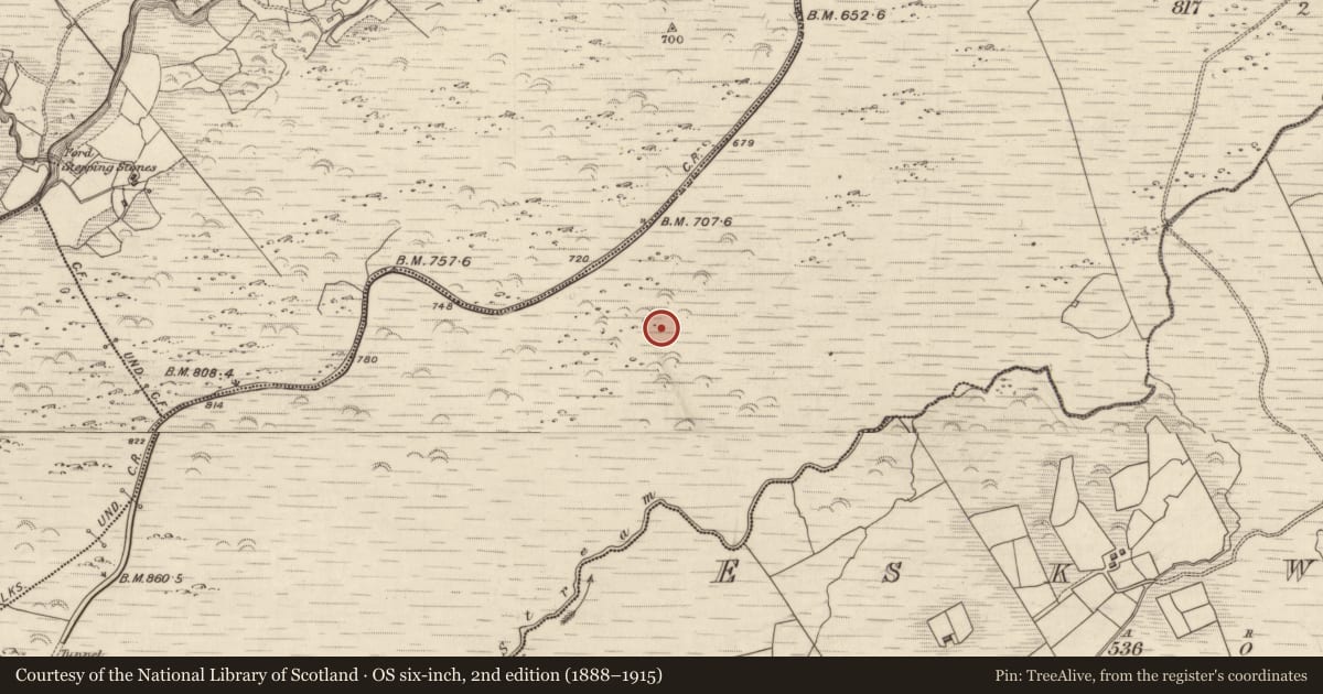 Ordnance Survey six-inch map, 2nd edition (1888–1915) covering the location of Field boundary, Releagh, County Kerry, with a pin at the register's coordinates