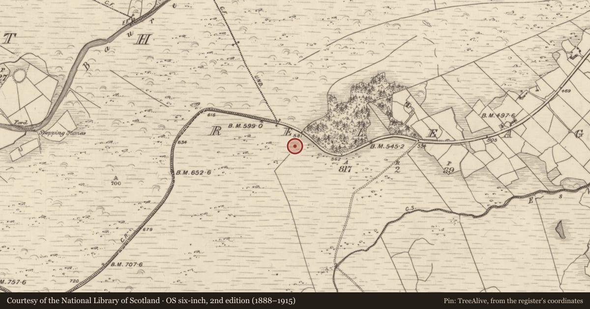 Ordnance Survey six-inch map, 2nd edition (1888–1915) covering the location of Field boundary, Releagh, County Kerry, with a pin at the register's coordinates