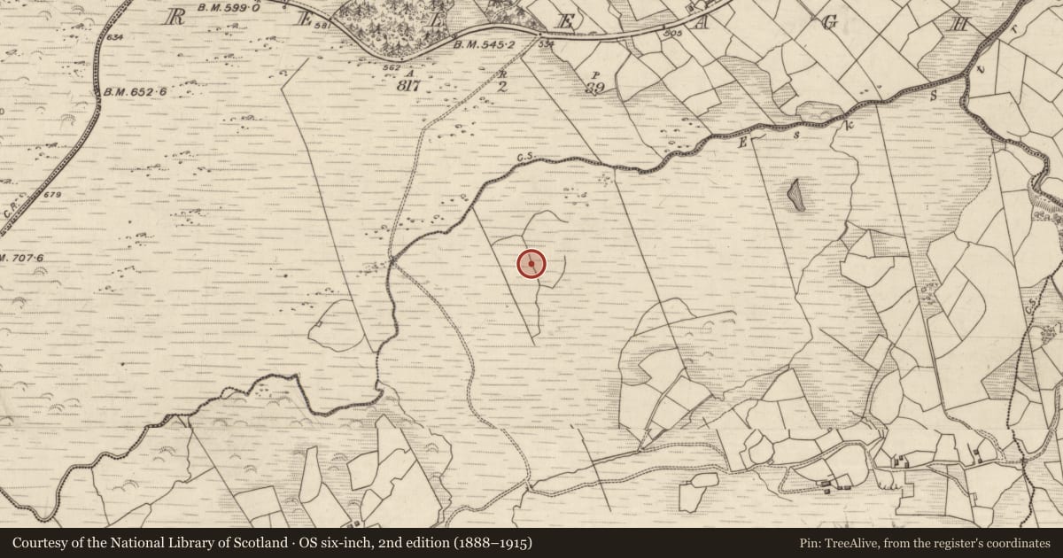 Ordnance Survey six-inch map, 2nd edition (1888–1915) covering the location of Field boundary, Esk West, County Kerry, with a pin at the register's coordinates