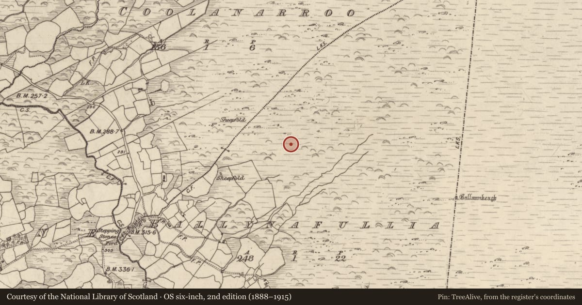Ordnance Survey six-inch map, 2nd edition (1888–1915) covering the location of Hut site, Ballynafullia, County Kerry, with a pin at the register's coordinates