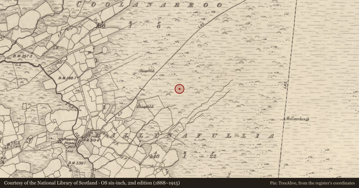Ordnance Survey six-inch map, 2nd edition (1888–1915) covering the location of Enclosure, Ballynafullia, County Kerry, with a pin at the register's coordinates