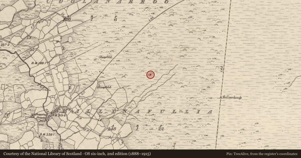 Ordnance Survey six-inch map, 2nd edition (1888–1915) covering the location of Cairn - unclassified, Ballynafullia, County Kerry, with a pin at the register's coordinates