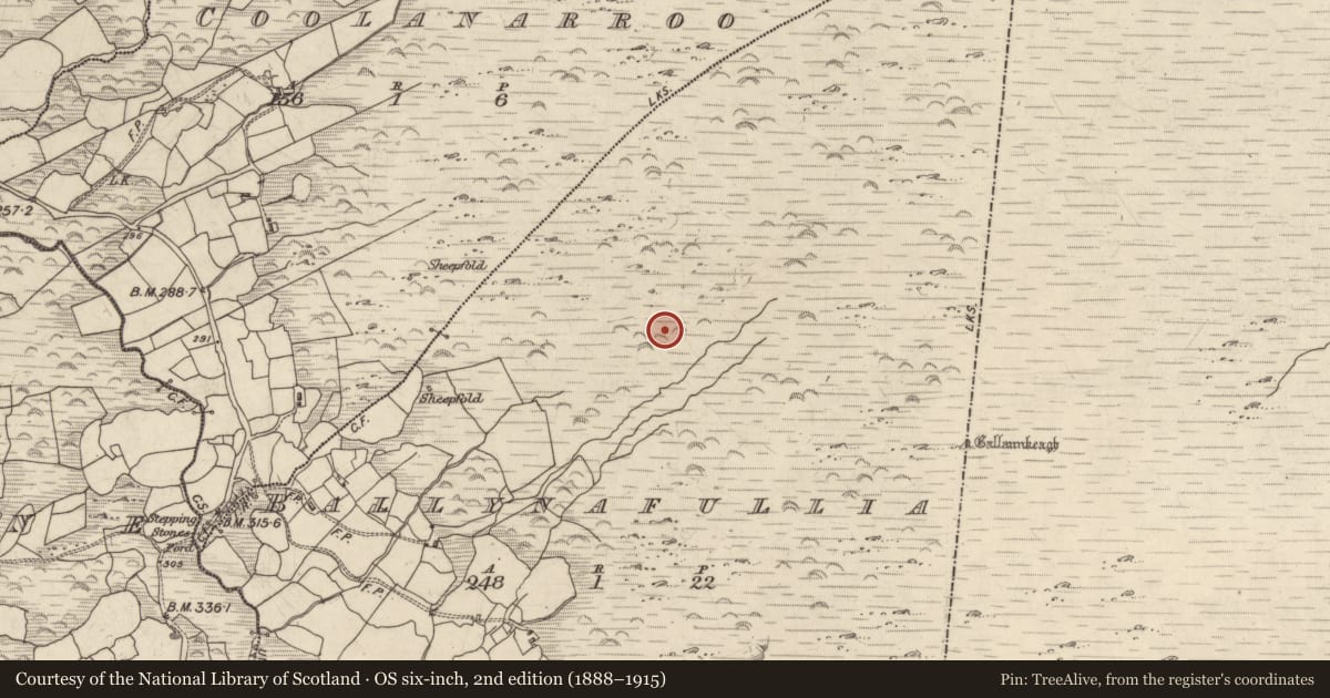 Ordnance Survey six-inch map, 2nd edition (1888–1915) covering the location of Cairn - unclassified, Ballynafullia, County Kerry, with a pin at the register's coordinates