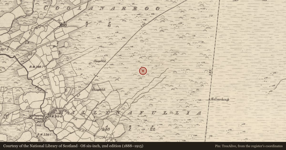 Ordnance Survey six-inch map, 2nd edition (1888–1915) covering the location of Cairn - unclassified, Ballynafullia, County Kerry, with a pin at the register's coordinates