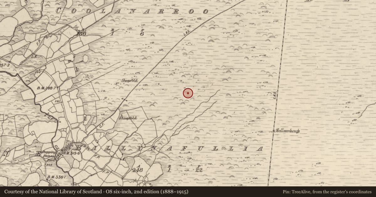 Ordnance Survey six-inch map, 2nd edition (1888–1915) covering the location of Cairn - unclassified, Ballynafullia, County Kerry, with a pin at the register's coordinates