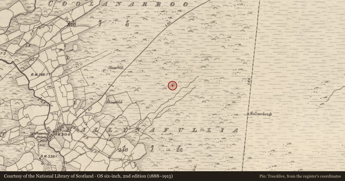 Ordnance Survey six-inch map, 2nd edition (1888–1915) covering the location of Cairn - unclassified, Ballynafullia, County Kerry, with a pin at the register's coordinates