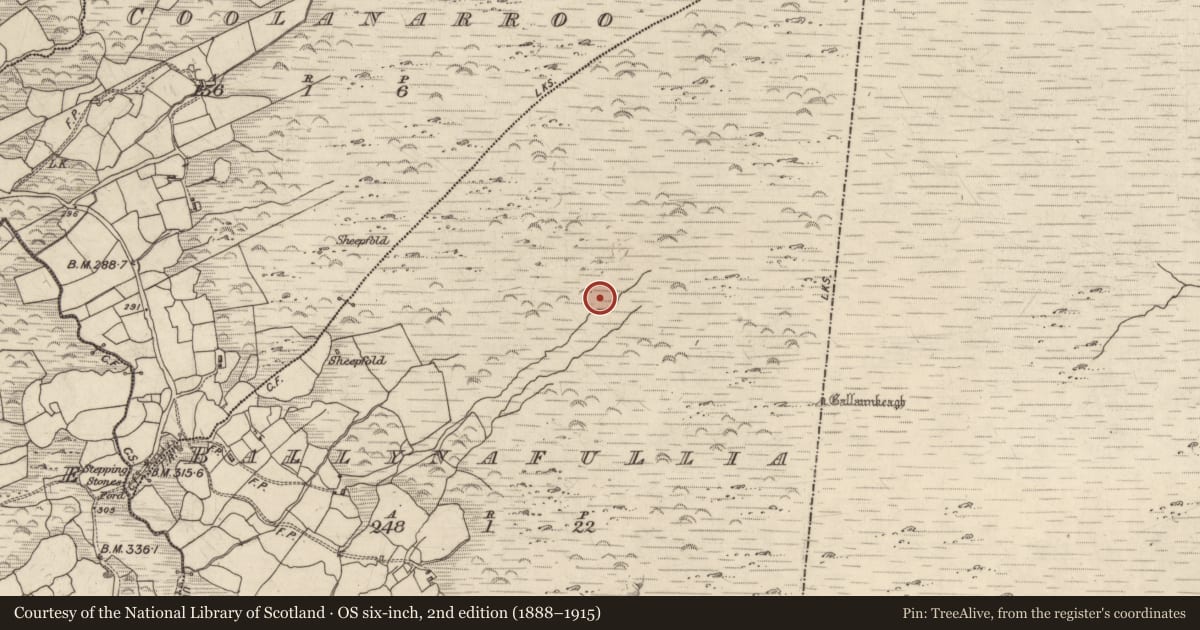 Ordnance Survey six-inch map, 2nd edition (1888–1915) covering the location of Cairn - unclassified, Ballynafullia, County Kerry, with a pin at the register's coordinates