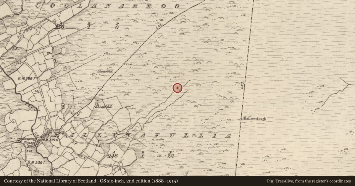Ordnance Survey six-inch map, 2nd edition (1888–1915) covering the location of Cairn - unclassified, Ballynafullia, County Kerry, with a pin at the register's coordinates