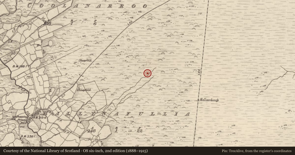 Ordnance Survey six-inch map, 2nd edition (1888–1915) covering the location of Cairn - unclassified, Ballynafullia, County Kerry, with a pin at the register's coordinates