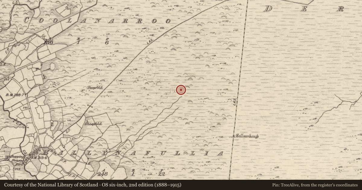 Ordnance Survey six-inch map, 2nd edition (1888–1915) covering the location of Field boundary, Ballynafullia, County Kerry, with a pin at the register's coordinates