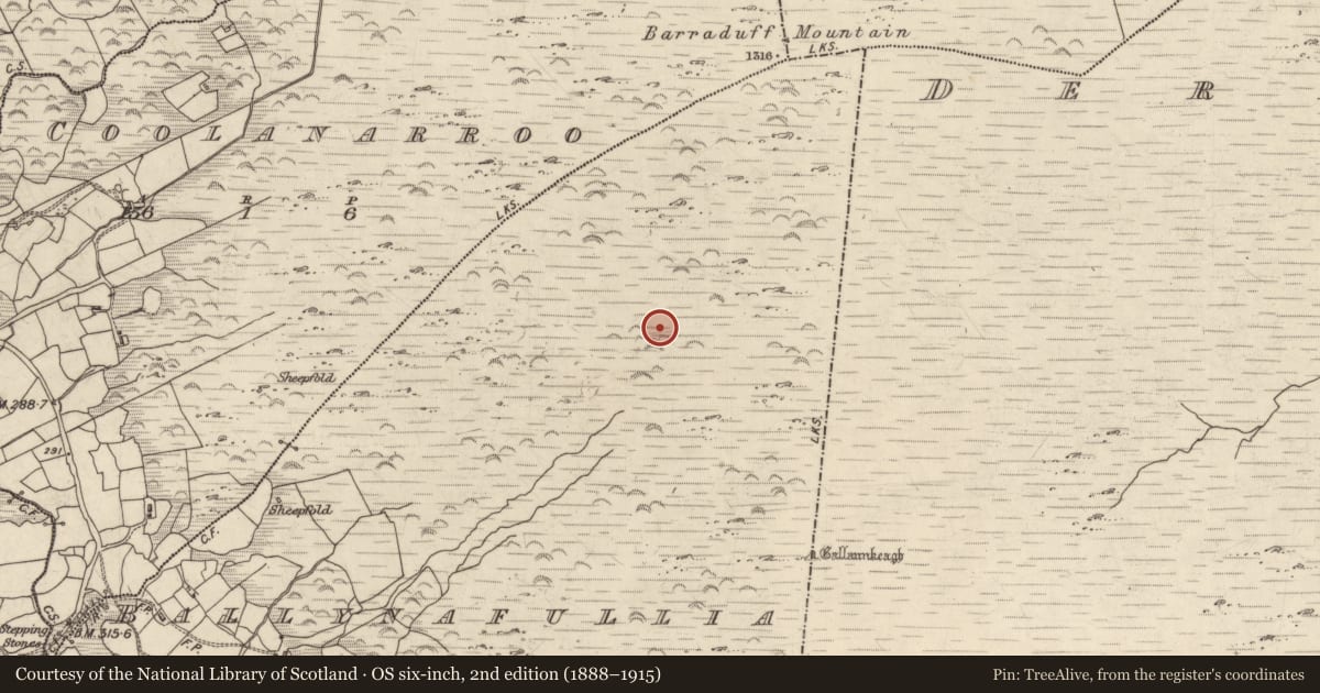 Ordnance Survey six-inch map, 2nd edition (1888–1915) covering the location of Field boundary, Ballynafullia, County Kerry, with a pin at the register's coordinates