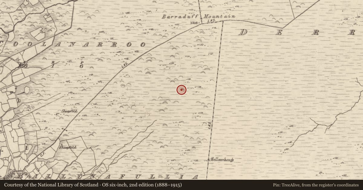 Ordnance Survey six-inch map, 2nd edition (1888–1915) covering the location of Fulacht fia, Ballynafullia, County Kerry, with a pin at the register's coordinates
