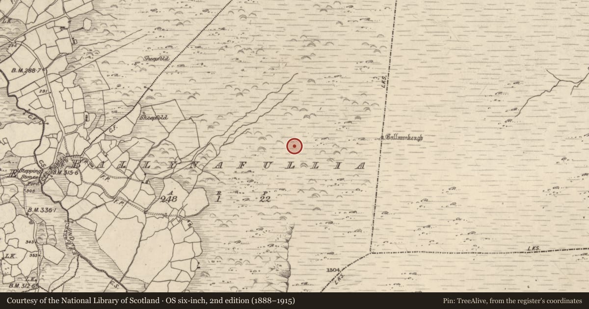 Ordnance Survey six-inch map, 2nd edition (1888–1915) covering the location of Hut site, Ballynafullia, County Kerry, with a pin at the register's coordinates