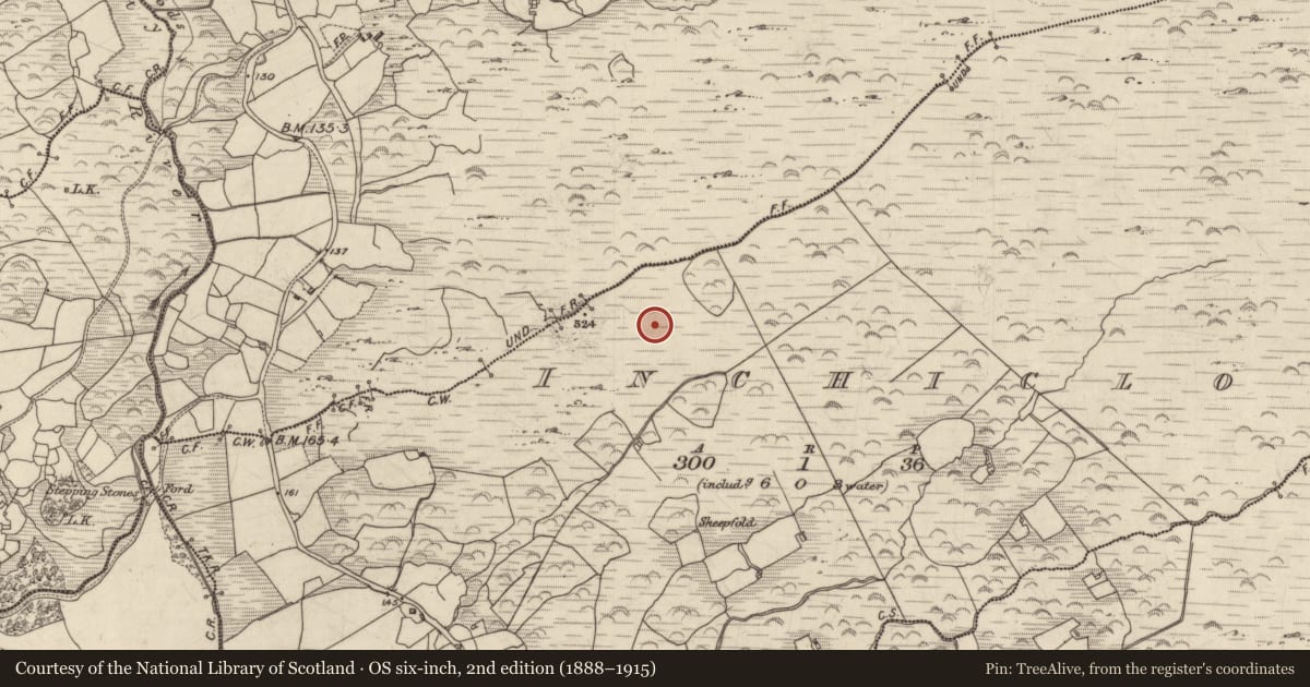 Ordnance Survey six-inch map, 2nd edition (1888–1915) covering the location of Hut site, Inchicloon, County Kerry, with a pin at the register's coordinates