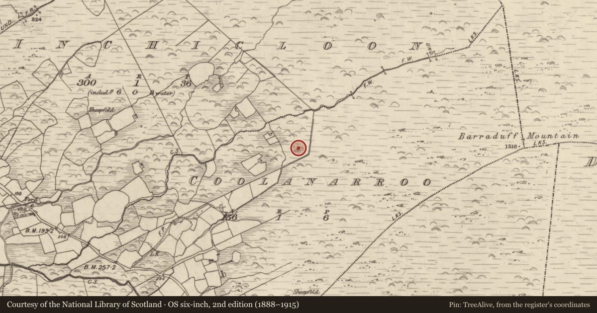 Ordnance Survey six-inch map, 2nd edition (1888–1915) covering the location of Field boundary, Coolanarroo, County Kerry, with a pin at the register's coordinates
