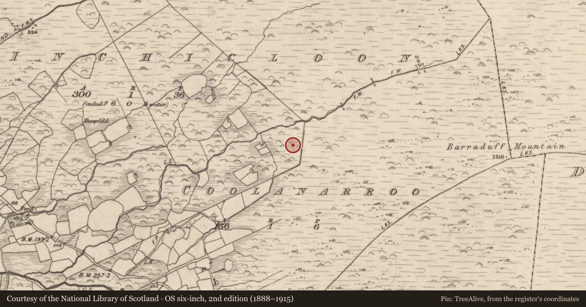 Ordnance Survey six-inch map, 2nd edition (1888–1915) covering the location of Hut site, Coolanarroo, County Kerry, with a pin at the register's coordinates