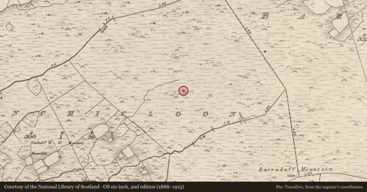 Ordnance Survey six-inch map, 2nd edition (1888–1915) covering the location of Field boundary, Inchicloon, County Kerry, with a pin at the register's coordinates