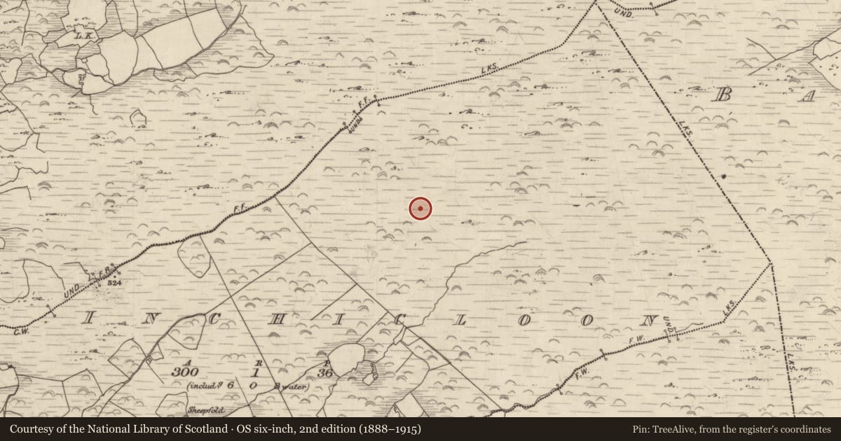 Ordnance Survey six-inch map, 2nd edition (1888–1915) covering the location of Field system, Inchicloon, County Kerry, with a pin at the register's coordinates