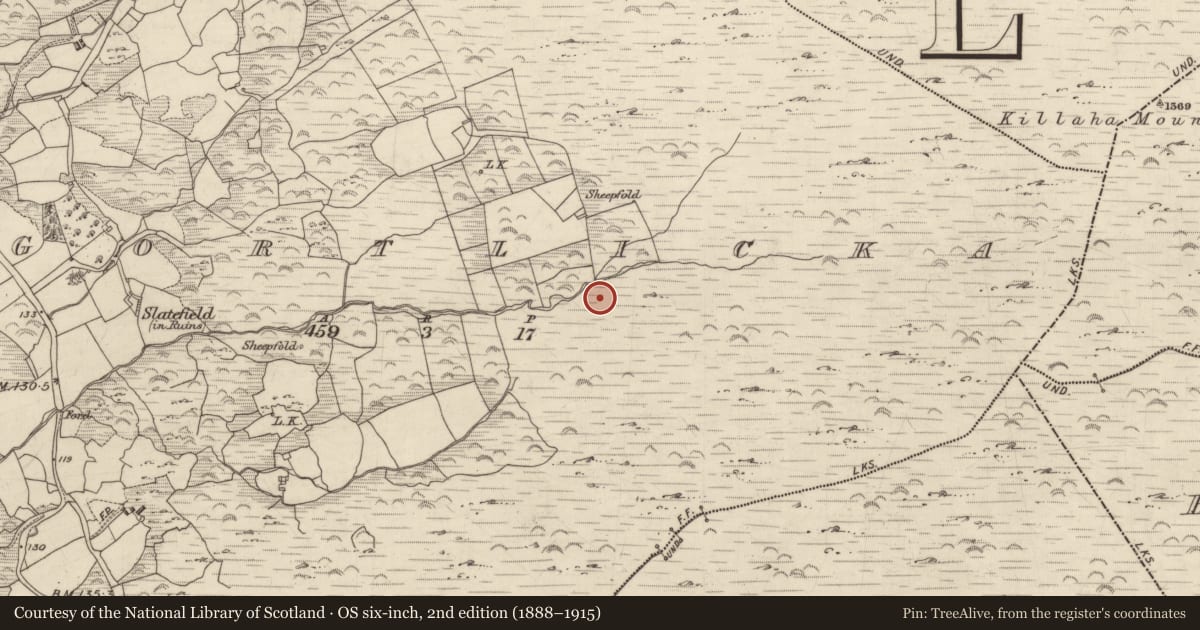 Ordnance Survey six-inch map, 2nd edition (1888–1915) covering the location of Field boundary, Gortlicka, County Kerry, with a pin at the register's coordinates
