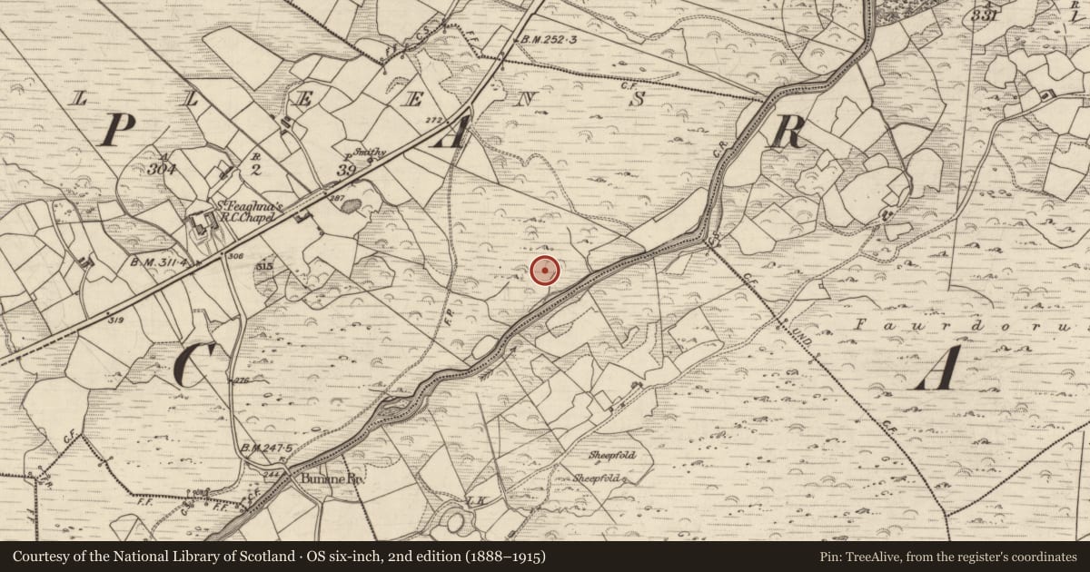 Ordnance Survey six-inch map, 2nd edition (1888–1915) covering the location of Bullaun stone, Milleens, County Kerry, with a pin at the register's coordinates