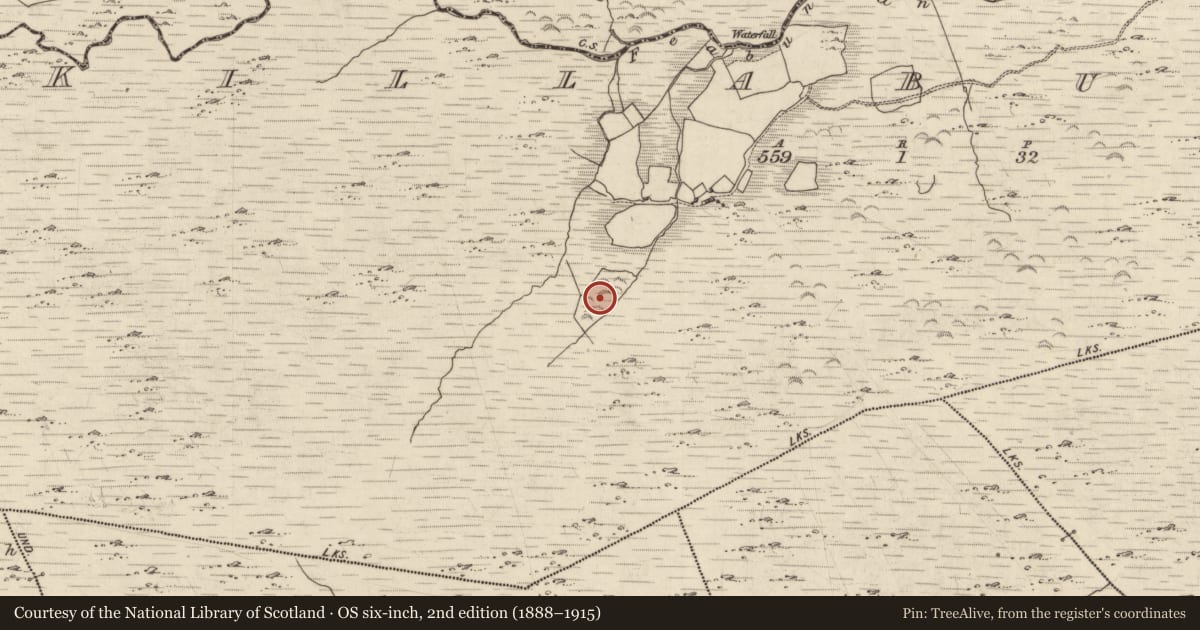 Ordnance Survey six-inch map, 2nd edition (1888–1915) covering the location of Hut site, Killabunane, County Kerry, with a pin at the register's coordinates