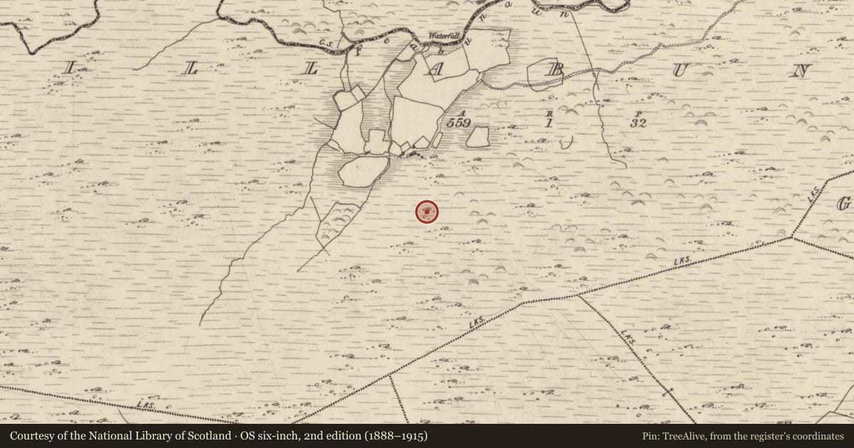 Ordnance Survey six-inch map, 2nd edition (1888–1915) covering the location of Enclosure, Killabunane, County Kerry, with a pin at the register's coordinates