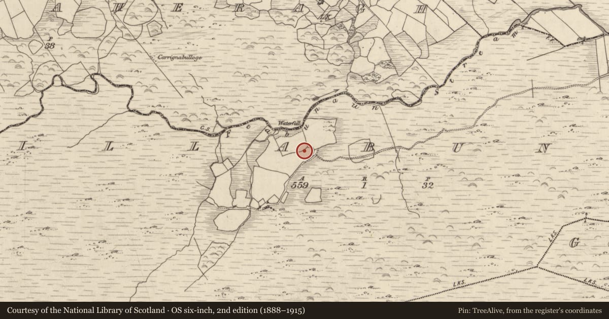 Ordnance Survey six-inch map, 2nd edition (1888–1915) covering the location of Bullaun stone, Killabunane, County Kerry, with a pin at the register's coordinates