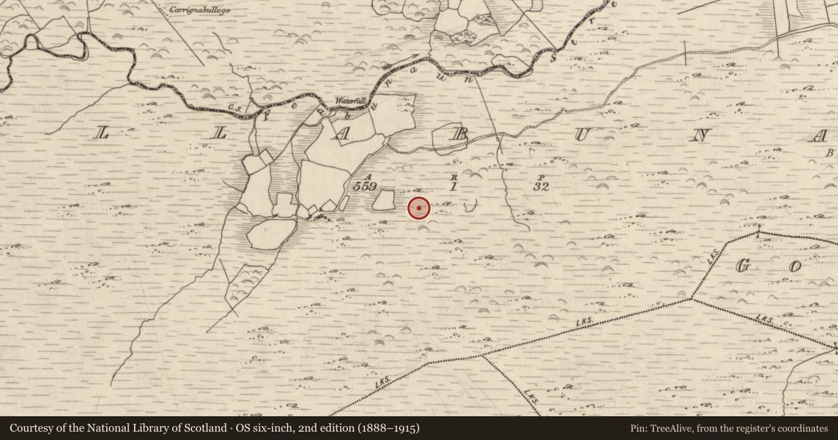 Ordnance Survey six-inch map, 2nd edition (1888–1915) covering the location of Hut site, Killabunane, County Kerry, with a pin at the register's coordinates