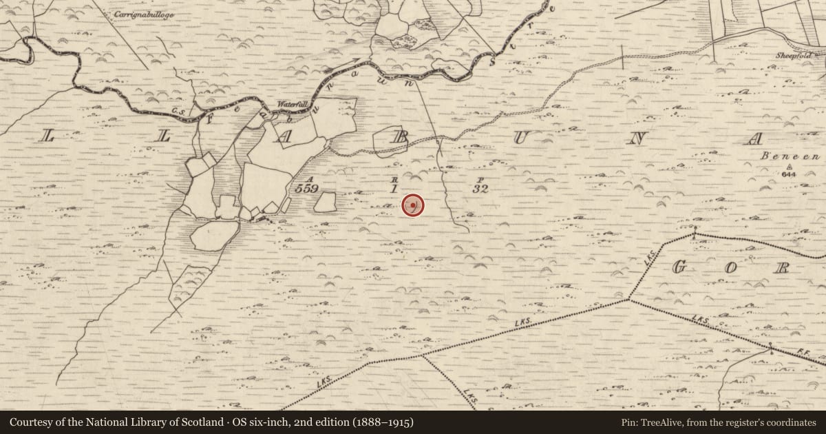 Ordnance Survey six-inch map, 2nd edition (1888–1915) covering the location of Enclosure, Killabunane, County Kerry, with a pin at the register's coordinates